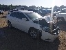 3N1AB7APXKY****** Salvage and Wrecked 2019 Nissan Sentra in Knoxville