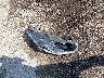 3KPA24AD3ME****** Wrecked 2021 Kia Rio in Oklahoma State