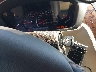 1G6KD57Y98U****** Salvamento 2008 Cadillac DTS en Estado de Carolina del Norte