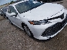 4T1B11HK9KU****** Salvage and Wrecked 2019 Toyota Camry in Houston