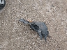 KNDERCAA3N7****** Wrecked 2022 Kia Seltos in Nebraska State