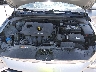 5NPD84LF6HH****** Repairable 2017 Hyundai Elantra in Kansas City East