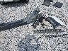 4S4BSBFC9F3****** Wrecked 2015 Subaru Outback in Kentucky State