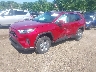 2T3P1RFV4SW****** Used and Repairable 2025 Toyota RAV4 in Templeton