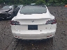 5YJ3E1EB5LF****** Wrecked 2020 Tesla Model 3