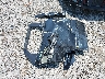 KL79MPS21NB****** Destrozados 2022 Chevrolet Trailblazer en Estado de Tennessee
