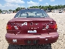 2T1BR12EXXC****** Wrecked 1999 Toyota Corolla