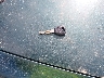 3HGCG56422G****** Salvage 2002 Honda Accord in Illinois State