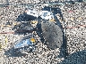 1GCPDKEK6RZ****** Wrecked 2024 Chevrolet Silverado 1500 in Oklahoma State