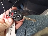 4S3BNAF66J3****** Salvage 2018 Subaru Legacy in South Dakota State