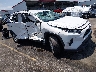 2T3W1RFV3MW****** Salvamento y Destrozados 2021 Toyota RAV4 en Lexington