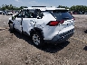 2T3W1RFV3MW****** Salvamento y Reparables 2021 Toyota RAV4 en Lexington