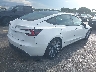 5YJ3E1EA4RF****** Salvamento y Destrozados 2024 Tesla Model 3 en Estado de Florida
