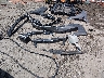 5XXGN4A70DG****** Wrecked 2013 Kia Optima in Oklahoma State