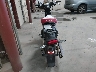 MLHJA5857N5****** Salvage and Repairable 2022 Honda Super Cub C125 in Idaho State