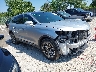 2LMPJ6LR1JB****** Salvage and Wrecked 2018 Lincoln MKX in Chicago South