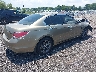 1HGCP36829A****** Salvage and Wrecked 2009 Honda Accord in South Carolina State