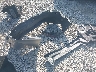 4T1B11HK7KU****** Wrecked 2019 Toyota Camry in Ohio State