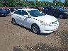 5NPEB4AC3DH****** Salvage and Wrecked 2013 Hyundai Sonata in Sayreville