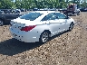 5NPEB4AC3DH****** Salvage and Wrecked 2013 Hyundai Sonata in New Jersey State