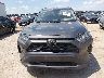 2T3H1RFV6KC****** Destrozados 2019 Toyota RAV4 en Estado de Texas