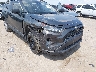 2T3H1RFV6KC****** Salvamento y Reparables 2019 Toyota RAV4 en Estado de Texas