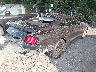 1FA6P8CF3N5****** Salvamento y Destrozados 2022 Ford Mustang en Estado de Indiana