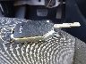 KNDJ23AU3P7****** Salvage 2023 Kia Soul in Florida State