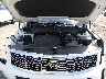 5XYP54HC8LG****** Repairable 2020 Kia Telluride in Richmond