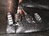 1FMJU2A5XCE****** Salvamento 2012 Ford Expedition en Estado de Minnesota