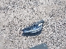 WAUENAF46HA****** Wrecked 2017 Audi A4 in Pennsylvania State