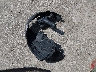 19XFA16549E****** Wrecked 2009 Honda Civic in Kansas State