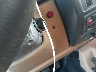 1J4FY19S3VP****** Salvamento 1997 Jeep Wrangler en Estado de Texas