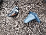 2GNAXJEV7J6****** Wrecked 2018 Chevrolet Equinox in Ohio State