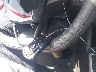 KL47LAEP1SB****** Salvamento 2025 Buick Envista en Estado de Virginia