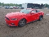 1FA6P8CF2G5****** Usados y Reparables 2016 Ford Mustang en Knoxville