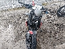 SMTL10UL7PT****** Usados y Reparables 2023 Triumph Trident en Estado de Virginia Occidental