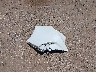 19UDE2F70LA****** Wrecked 2020 Acura ILX in Texas State