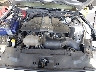 1FA6P8CF6K5****** Reparables 2019 Ford Mustang en High Point