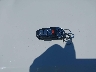 WA1D7AFPXHA****** Salvamento 2017 Audi Q5 en Estado de Wisconsin
