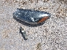 1FMCU0H67NU****** Destrozados 2022 Ford Escape en Estado de Texas