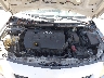 1NXBU40E49Z****** Reparables 2009 Toyota Corolla en San Diego