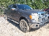 1FTFW1ET7CK****** Salvamento y Destrozados 2012 Ford F-150 en Gulf Coast