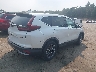 2HKRW2H55LH****** Salvamento y Destrozados 2020 Honda CR-V en Estado de Massachusetts