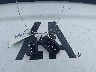 5FNYF9H35TB****** Salvage 2026 Honda Passport in Florida State