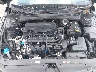 KMHLP4DG4SU****** Reparables 2025 Hyundai Elantra en Corpus Christi