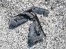 1HGCV1F33JA****** Wrecked 2018 Honda Accord in Georgia State