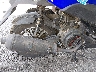 HZ2TBCNFXS1****** Destrozados 2025 Zhilong ST en Rec Rides Online Exclusive