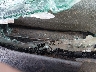 3D7MX48CX7G****** Used 2007 Dodge Ram 3500 in Omaha