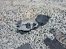 2GNAXJEV3J6****** Wrecked 2018 Chevrolet Equinox in Georgia State